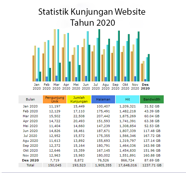 statistik pengunjung website
